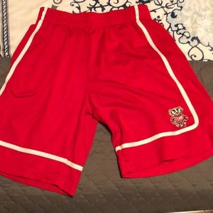 Wisconsin Badgers Shorts
